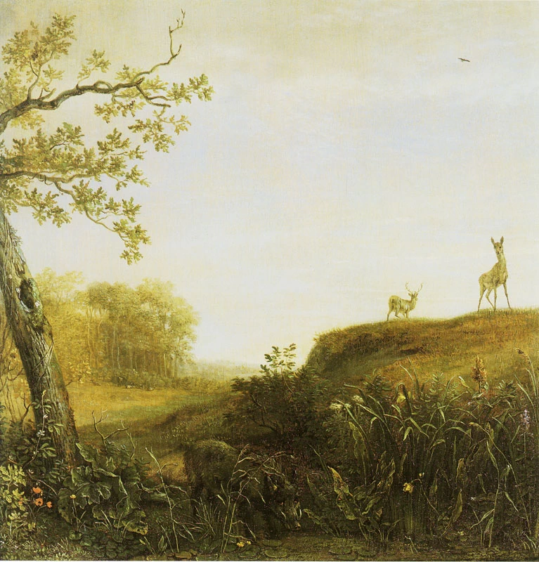 Un cinghiale in un paesaggio